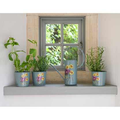 Asteraceae Indoor Watering Can
