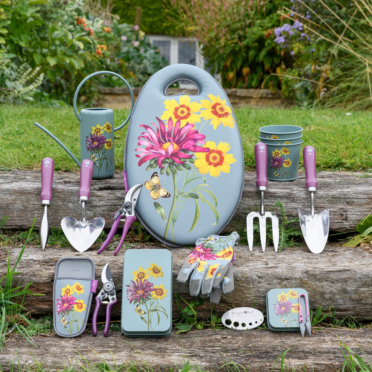 Asteraceae Indoor Watering Can