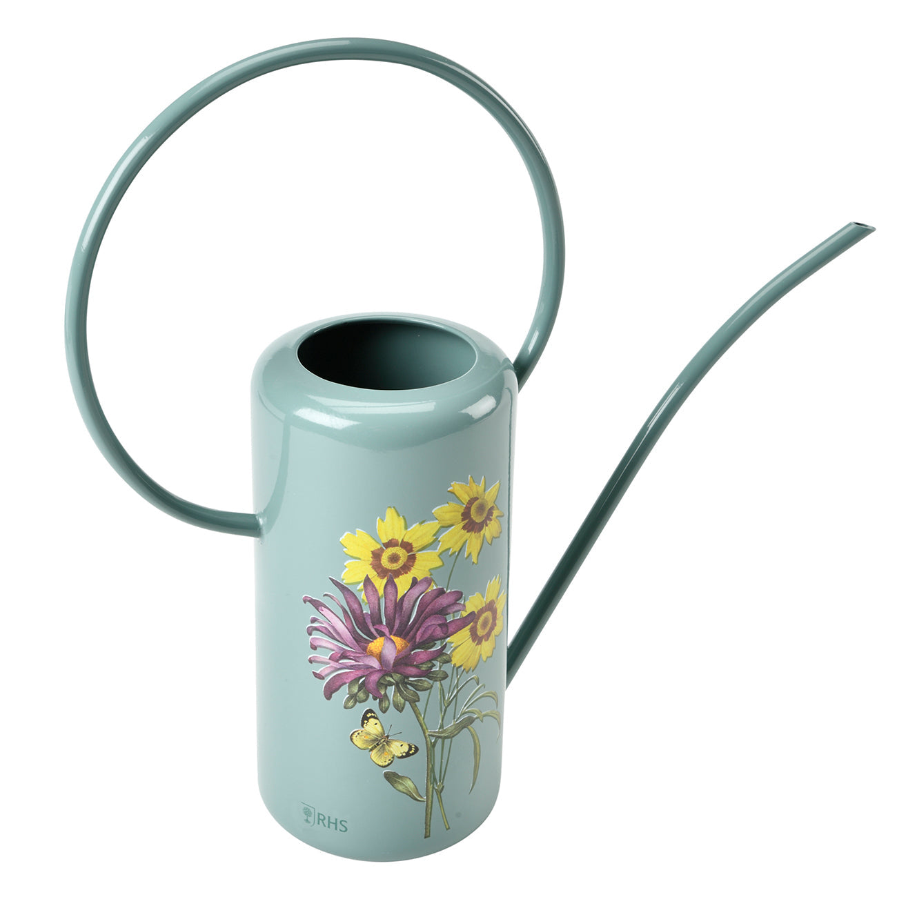 Asteraceae Indoor Watering Can