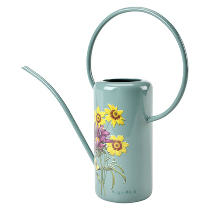 Asteraceae Indoor Watering Can