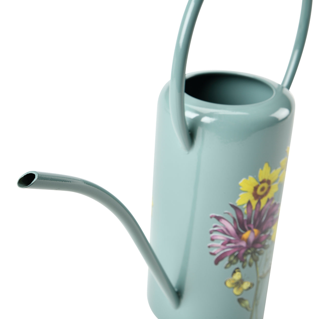 Asteraceae Indoor Watering Can