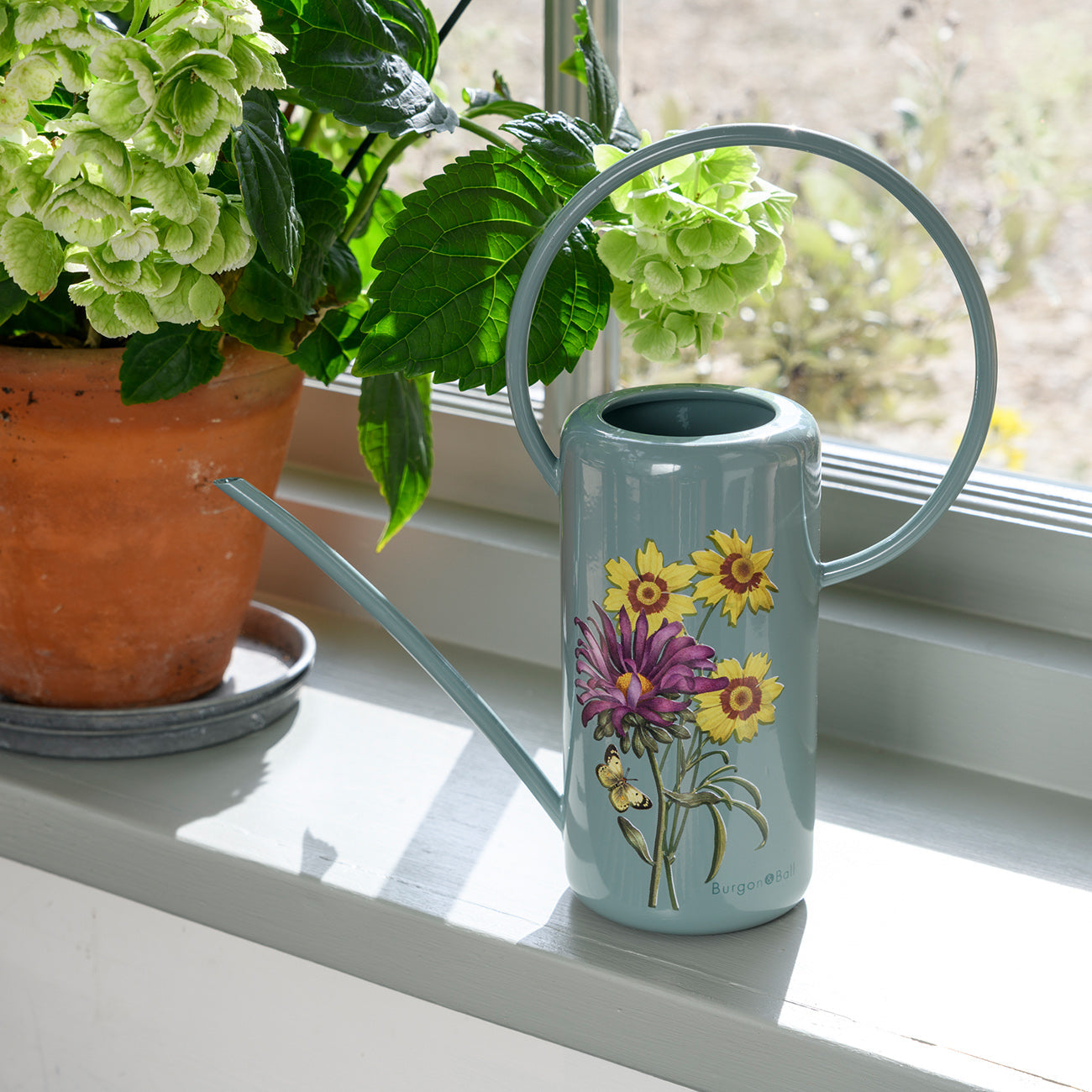 Asteraceae Indoor Watering Can