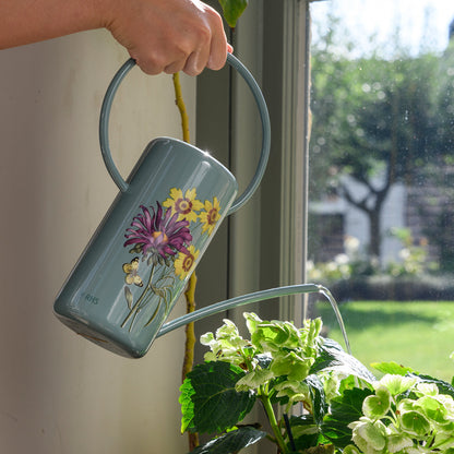 Asteraceae Indoor Watering Can