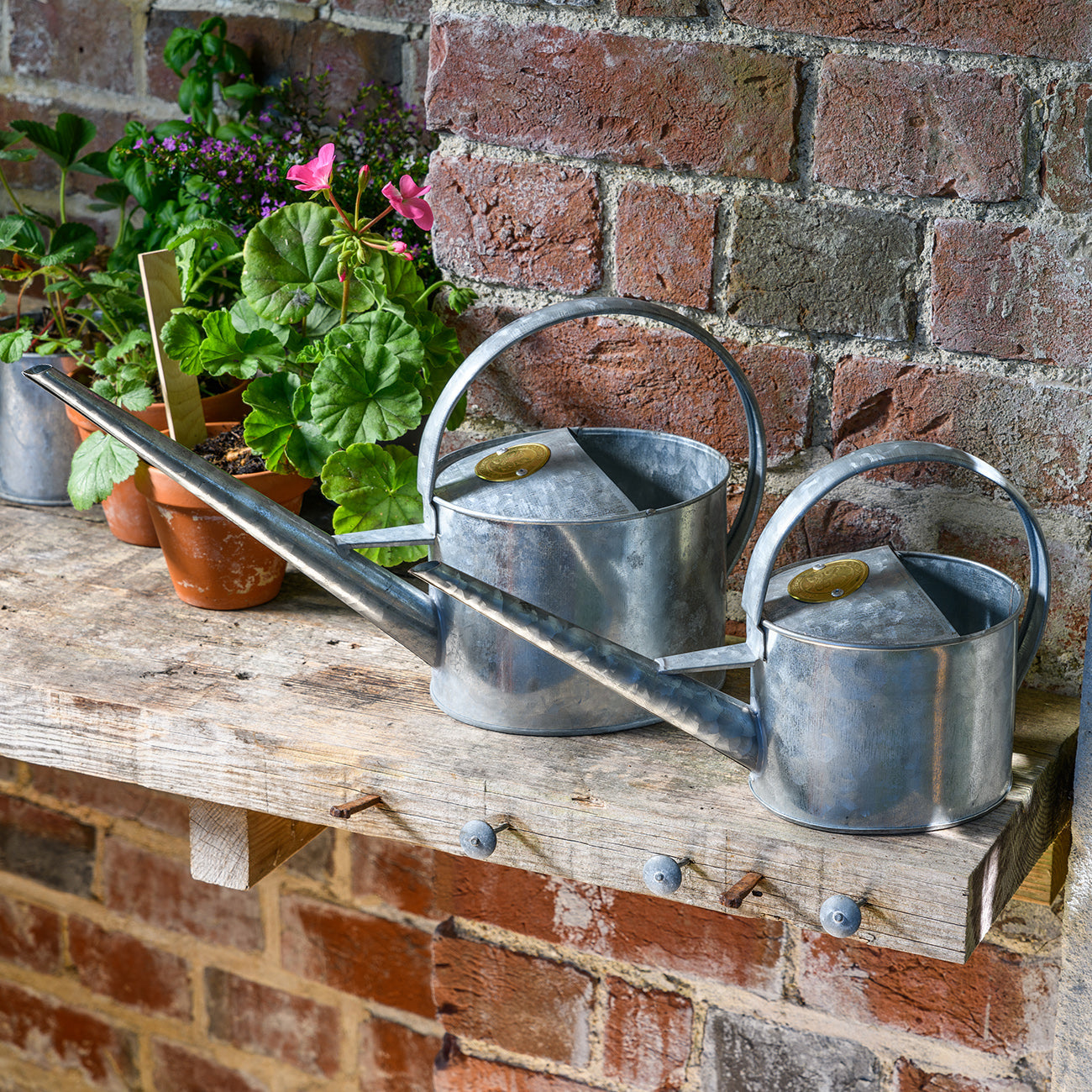Sophie Conran Greenhouse & Indoor Watering Can - Galvanized