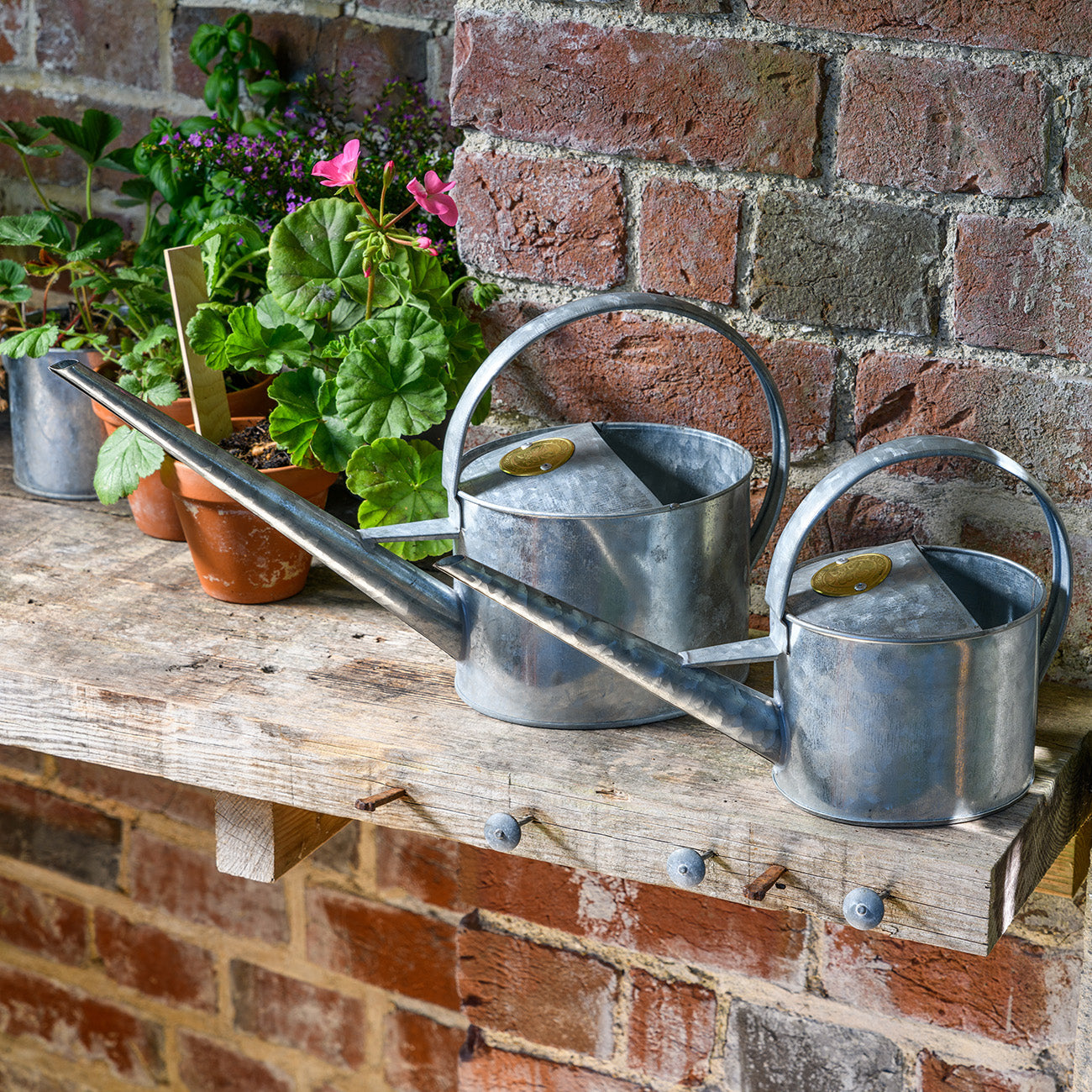 Sophie Conran Greenhouse & Indoor Watering Can - Galvanized, Small